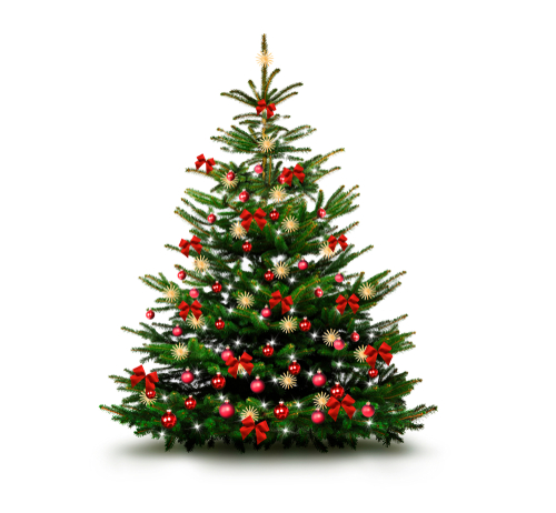 Looking for a fake xmas tree? Go to Sears - Moorestown Mall in Moorestown, the United States