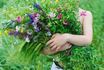 12 Tuintips voor juni (Tuinieren)