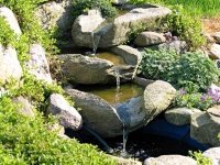 Planten houden van water