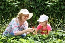 Tuinieren met kinderen