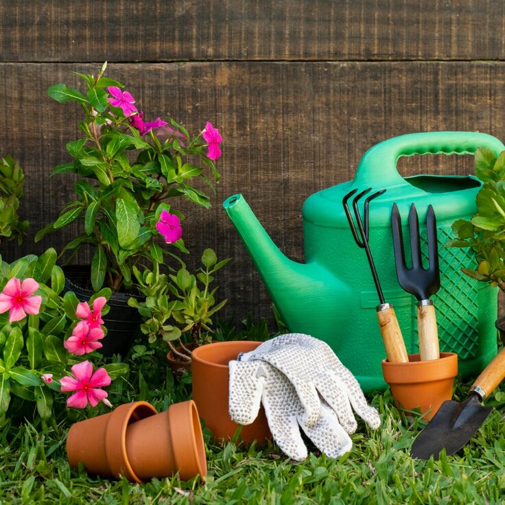 Deze taken kun je in de tuin uitvoeren in de lente (Tuinieren)