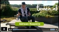 Tuintips voor een mooi groen gazon