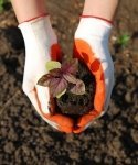 Goede bodem: mooie tuin! (Tuinieren)