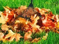 Uw tuin voorbereiden voor de herfst en winter