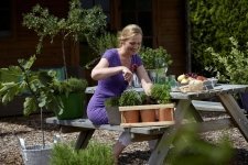 Kweek uw eigen kruiden en vruchten (Moestuin)