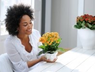 Gulle Kalanchoë wil alleen maar het beste voor je (Uitgelicht: woonplanten)