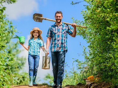 Handig: een checklist voor de planten oppas (Tuinieren)