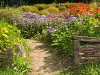 De tuin in juni (Tuinieren)