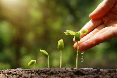 Gratis plantjes voor watervriendelijke tuin!