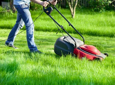 Hoe vaak moet je het gras maaien in juni? (Tuinieren)