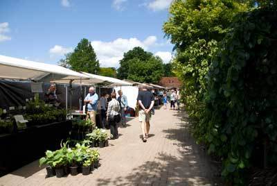 Groene evenementen in augustus