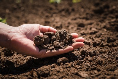 Hoe bepaal je de grondsoort van jouw tuin? (Tuinieren)