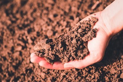 Hoe test je de grondsoort in de tuin? (Tuinieren)