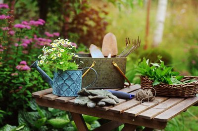 Wat doe je in juli in de tuin? (Tuinieren)