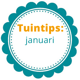 Tuinieren in de maand januari (Tuinieren)