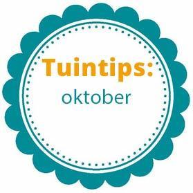 Tuintips voor oktober (Tuinieren)