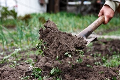 De tuin omspitten voor de winter (Tuinieren)