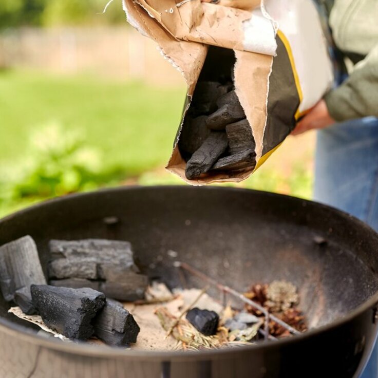 Vind jouw ideale barbecue voor de zomer begint