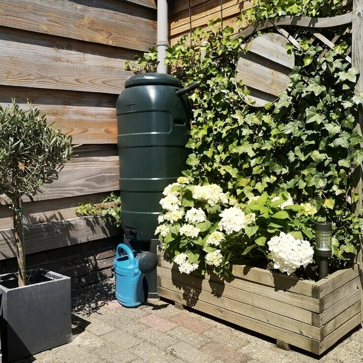 Tips voor een Duurzame Zomertuin (Tuintips)