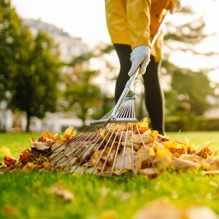 Wat te doen in de maand november