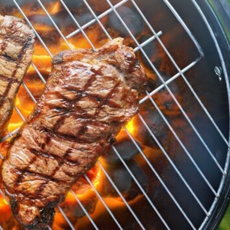 Welke soort barbecue moet ik kopen? (Barbecue)