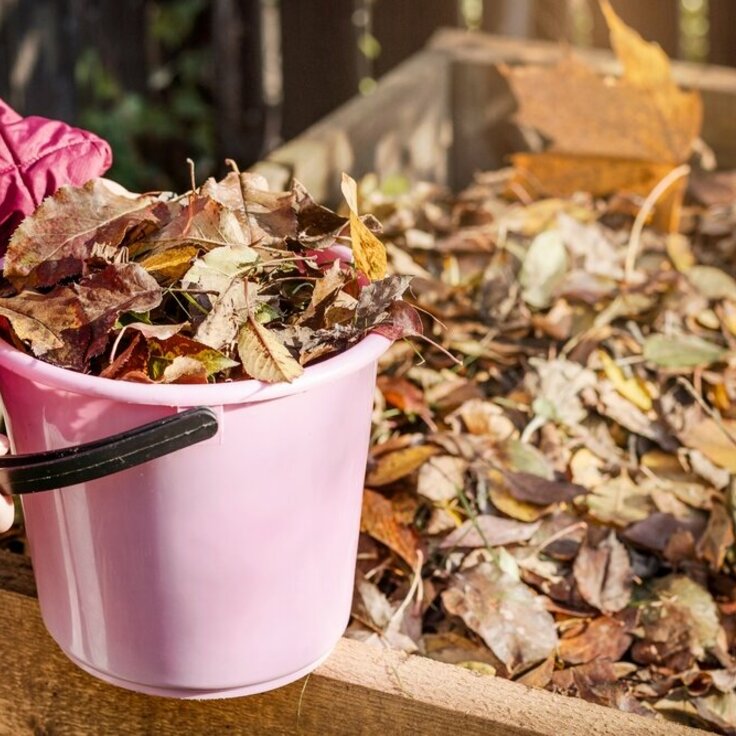 Composteren in de herfst: Een gouden kans voor duurzaamheid