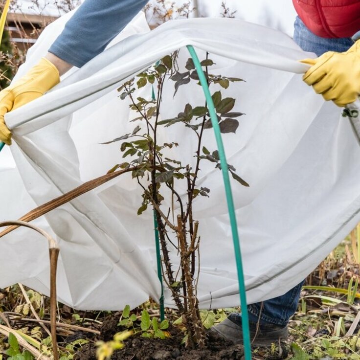 Plannen maken voor het tuinseizoen 2025 - Waar begin je? (Tuinieren)