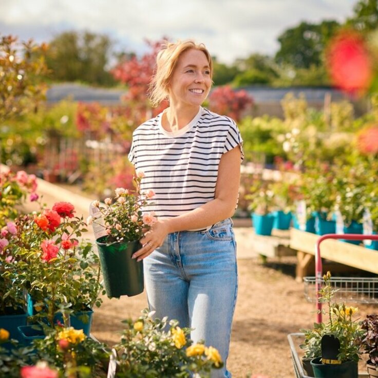 Top 10 tuincentra in Drenthe: Dé beste bestemmingen voor tuinliefhebbers (Tuinnieuws)