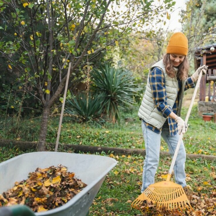 15 tuintips voor november (Tuinieren)