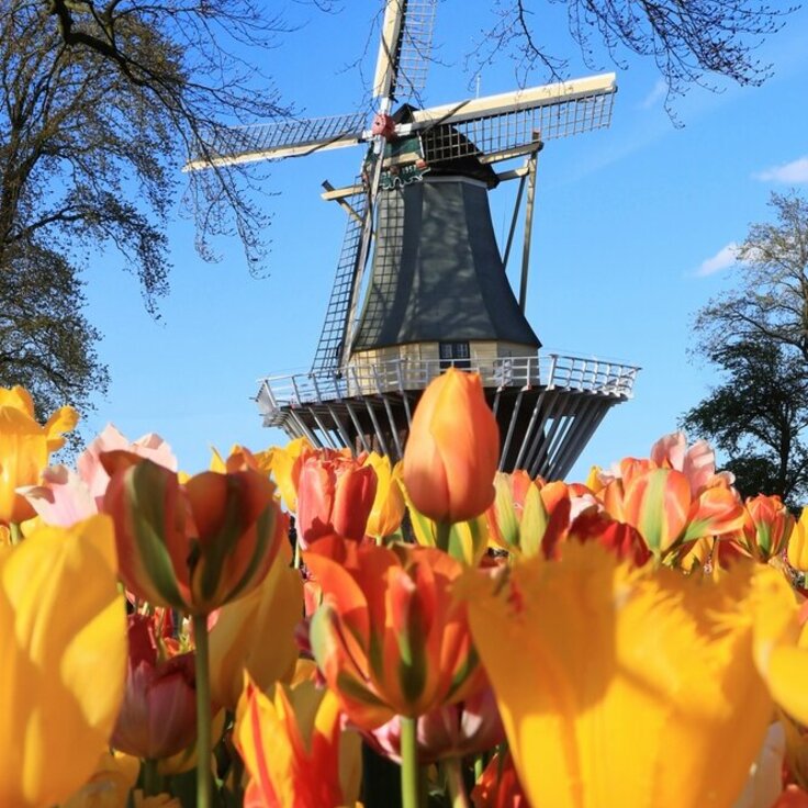 Op naar de Keukenhof