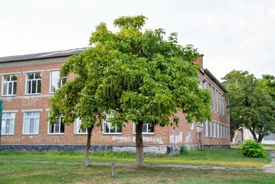 Nominaties Boom van het Jaar (Tuinnieuws)