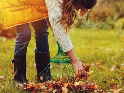 Tuin tips Oktober (Tuinieren)