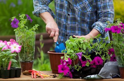 Wat doe je in de tuin in juni? (Tuinieren)