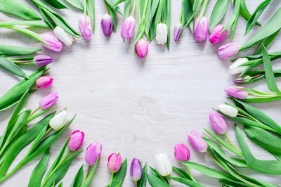 3 x de mooiste tulpencombinaties