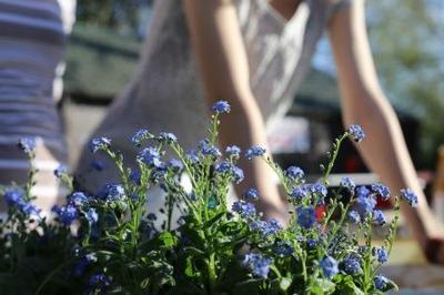 Wat te doen in de tuin in april? (Tuinieren)