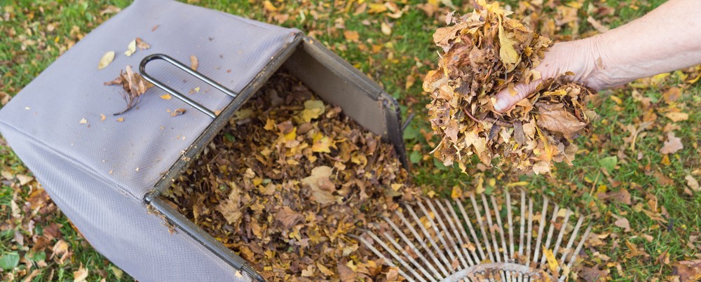 Compost in autumn