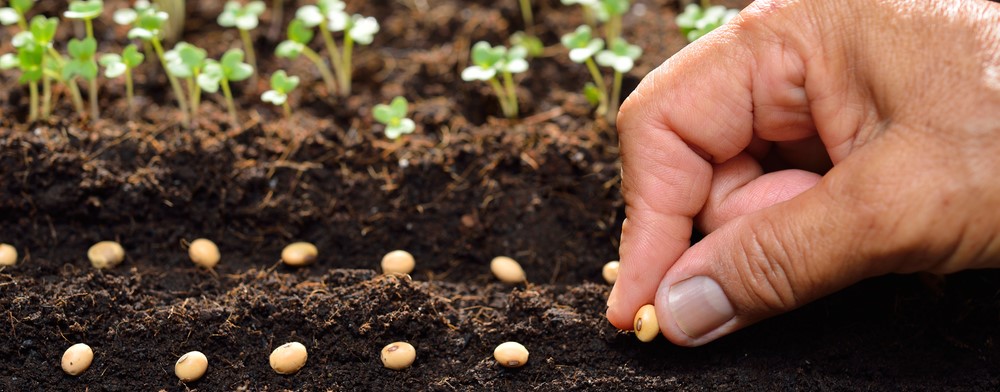 Preparing Your Soil for Planting