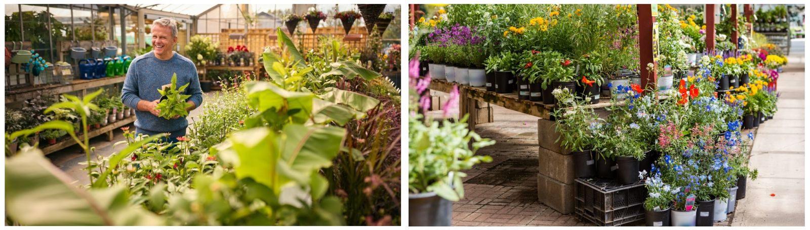 Voorbeeld van tuincentrum in de buurt